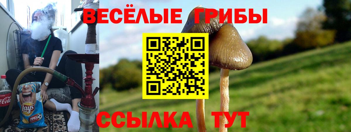 Галлюциногенные грибы Magic Shrooms Конаково